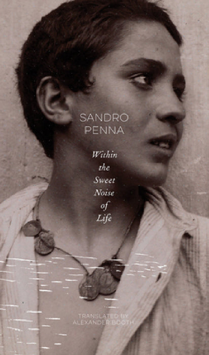 Within the Sweet Noise of Life: Selected Poems by Alexander Booth, Sandro Penna
