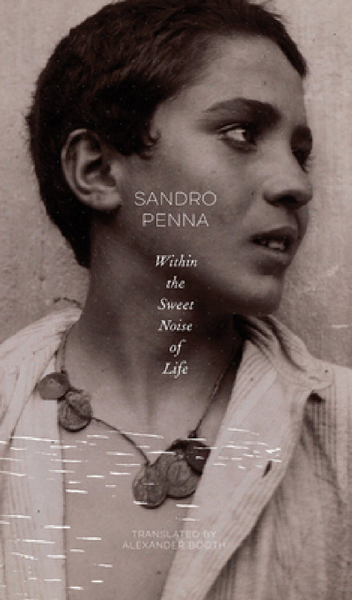 Within the Sweet Noise of Life: Selected Poems by Alexander Booth, Sandro Penna