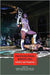 Professional Wrestling: Politics and Populism by Sharon Mazer