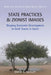 State Practices and Zionist Images: Shaping Economic Development in Arab Towns in Israel by David A. Wesley