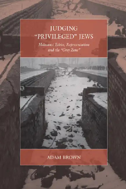 Judging 'Privileged' Jews: Holocaust Ethics, Representation, and the 'Grey Zone' by Adam Brown
