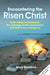 Encountering the Risen Christ by Mark Bradford