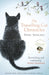 The Travelling Cat Chronicles by Hiro Arikawa