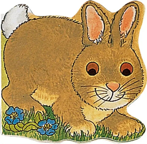 Pocket Bunny by Pam Adams