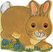 Pocket Bunny by Pam Adams