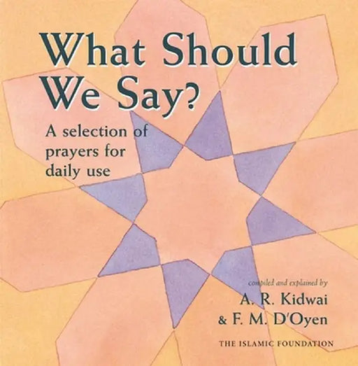 What Should We Say? by Ar Kidwai