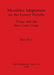 Mesolithic Adaptations on the Lower Danube: Vlasac and the Iron Gates Gorge by Beth Prinz
