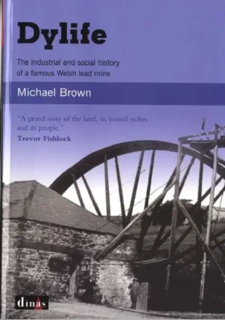 Dylife by Michael Brown