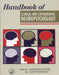 Handbook of Clinical and Experimental Neuropsychology by Gianfranco Denes