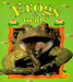 Frogs & Toads by Bobbie Kalman