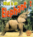 What is an Elephant? by John Crossingham
