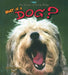 What Is a Dog? by Bobbie Kalman