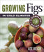 Growing Figs in Cold Climates: A Complete Guide