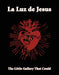 La Luz de Jesus 25: The Little Gallery That Could by Billy Shire, Janice Gore, Alix Sloan