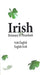 Irish-English English-Irish Dictionary & Phrasebook by Davidovic Mladen