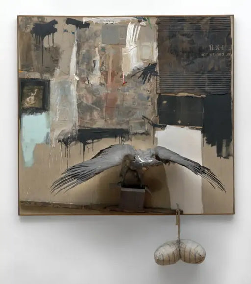 Rauschenberg: Canyon: MoMA One on One Series by Robert Rauschenberg, Leah Dickerman