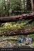 The Hidden Forest: The Biography of an Ecosystem by Jon R. Luoma