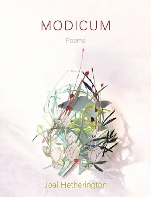Modicum: Poems by Joal Hetherington