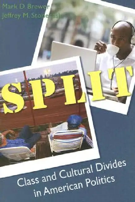 Split: Class and Cultural Divides in American Politics by Mark D. Brewer, Jeffrey M. Stonecash