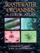 Wastewater Organisms a Color Atlas by Berk Sharon G.