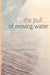 The Pull of Moving Water by Alice Koskela