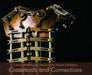Crossroads and Connections: Central Washington University Alumni Exhibition by Central Washington Universit Department