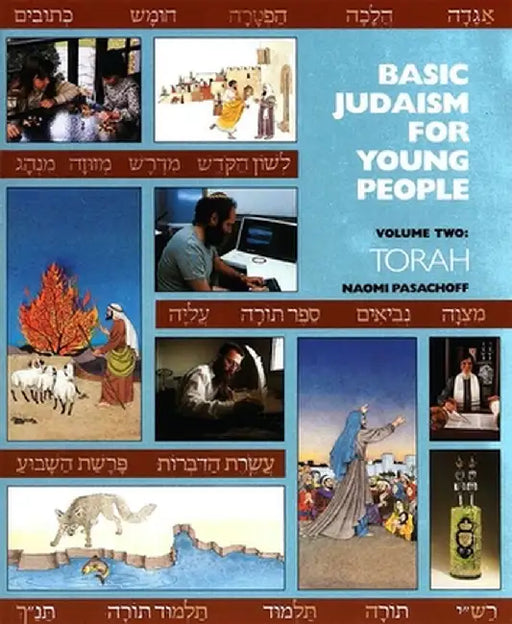Basic Judaism for Young People, Vol.2: Torah by Naomi E. Pasachoff