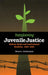 Transforming Juvenile Justice: Reform Ideals and Institutional Realities, 1825-1920 by Steven L. Schlossman