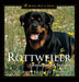 The Rottweiler: Centuries of Service by Linda Michels