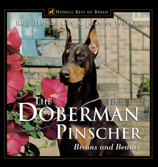 The Doberman Pinscher: Brains and Beauty by Joanna Walker