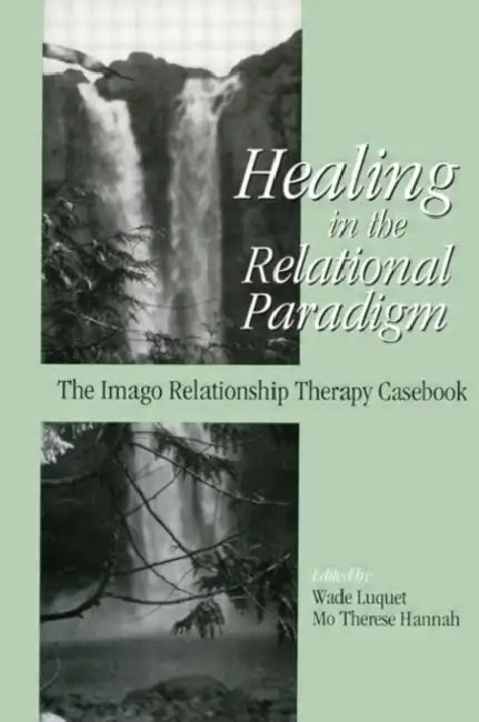 Healing in the Relational Paradigm: The Imago Relationship Therapy Casebook by Wade Luquet