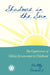 Shadows in the Sun: The Experiences of Sibling Bereavement in Childhood by Betty Davies