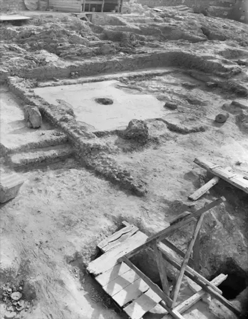 The Agora Bone Well by Maria A. Liston, Susan I. Rotroff, Lynn M. Snyder