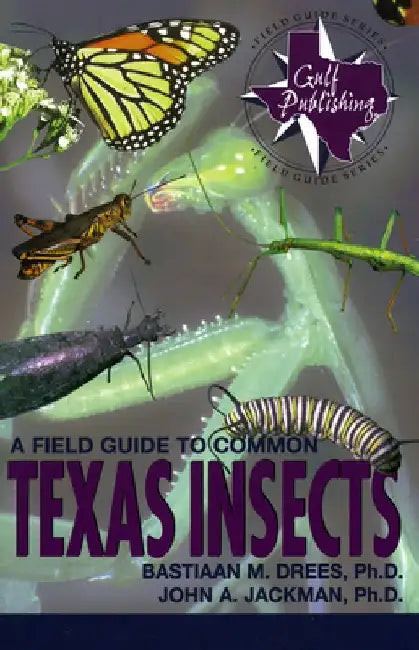 A Field Guide to Common Texas Insects by Bastiaan M. Drees