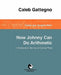 Now Johnny Can Do Arithmetic by Caleb Gattegno