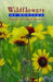 Wildflowers of Montana by Donald Anthony Schiemann