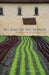 No End to the Search: Experiencing Monastic Life Volume 50 by Mark Plaiss