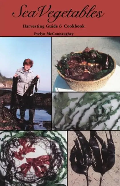 Sea Vegetables, Harvesting Guide by Evelyn McConnaughey