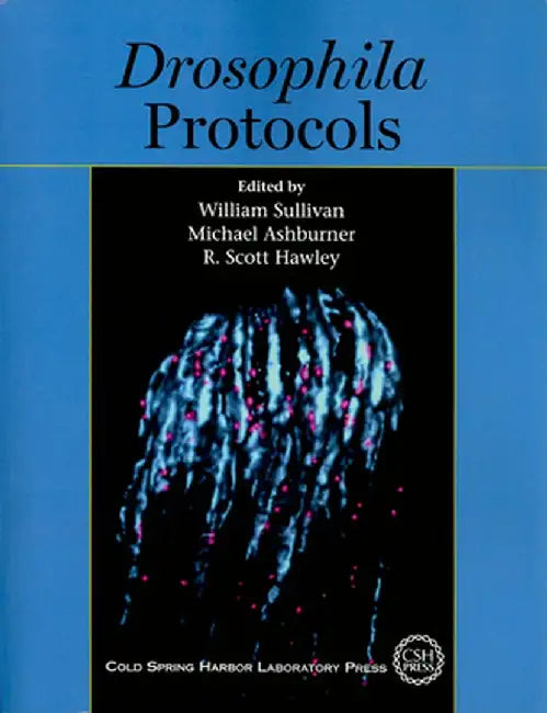 Drosophila Protocols by W. Sullivan