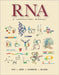 Rna: A Laboratory Manual by Donald C. Rio, Manuel Ares Jr, Gregory J. Hannon
