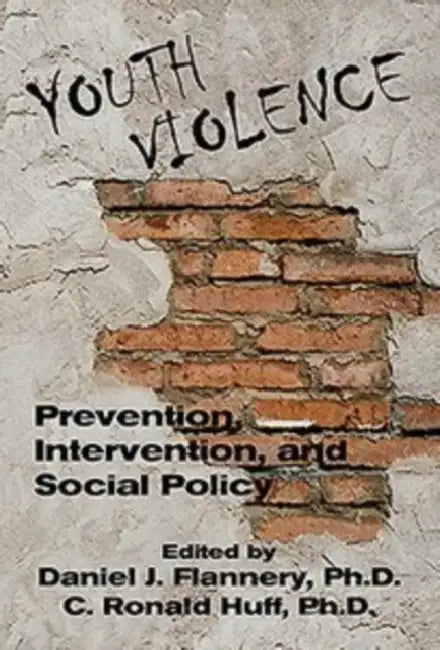 Youth Violence: Prevention, Intervention, and Social Policy by Daniel J. Flannery, C. Ronald Huff