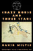Crazy Horse And Three Stars by David Wiltse