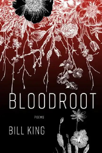 Bloodroot by Bill King