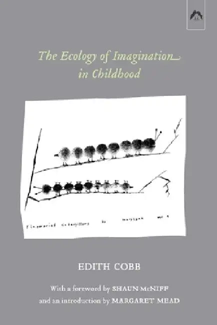 The Ecology of Imagination in Childhood by Margaret Mead