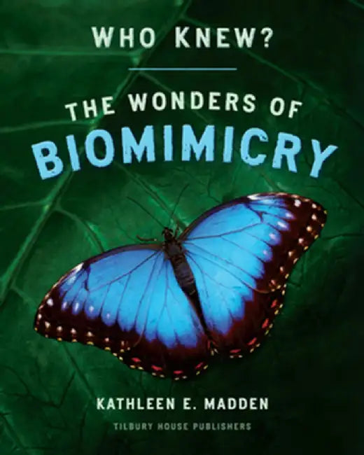 Who Knew by Kathleen Madden
