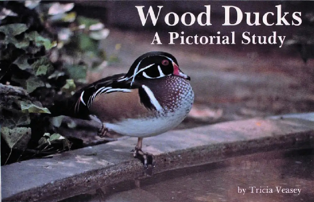 Wood Ducks a Pictorial Study by Tricia Veasey