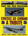 Peace Was Their Profession: Strategic Air Command: A Tribute by Mike Hill