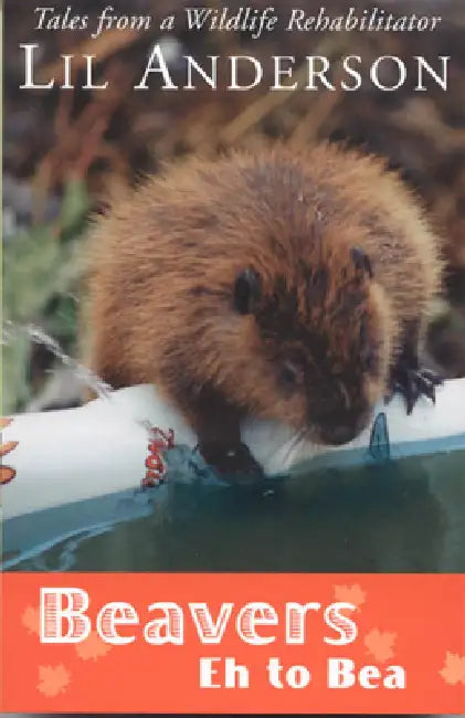 Beavers Eh to Bea: Tales from a Wildlife Rehabilitator by Lil Anderson