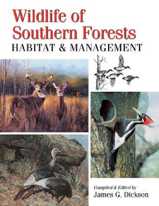 Wildlife of Southern Forests: Habitat & Management by James G. Dickson