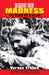 Descent Into Madness: The Diary of a Killer by Vern Frolick